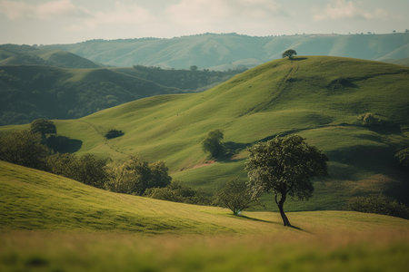 The beauty of a single tree surrounded by lush, green hills, creating a peaceful and serene scene. Generative AIの素材
