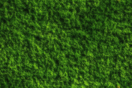 Top view of green grass texture, perfect for sports or summer themed projects. Generative AI.の素材