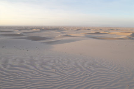 Sand dunes rise and fall, creating a mesmerizing landscape of curves and patterns in the desert. Generative AI.の素材