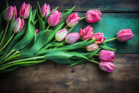 Spring tulip border with copy space on vintage wooden background. Generative AI.の素材