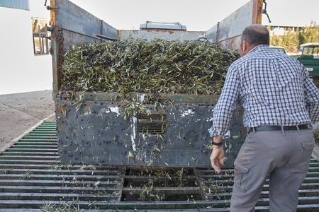 Spanish olive oil process factoryの写真素材