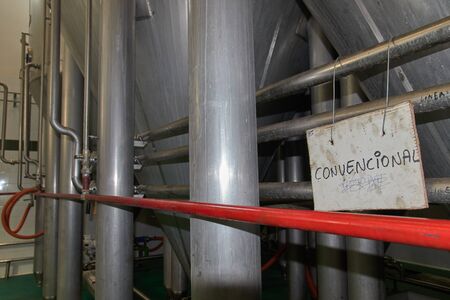 Spanish olive oil process factory
