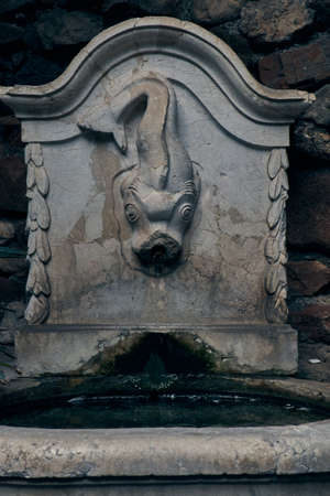 Ancient fountain with sculpture of a fish in an Andalusian citadel patioの写真素材