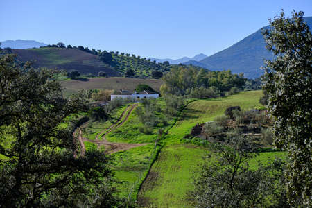 House in the countryside in Spain with green grass in a sunny day