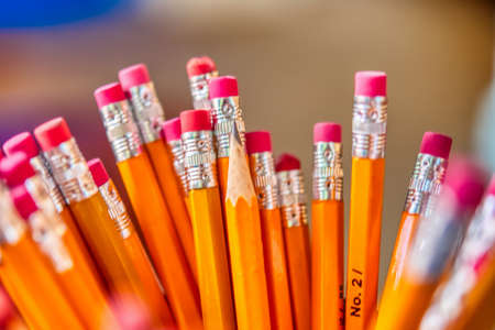 Yellow pencils standing ready in a container with a blurred background.