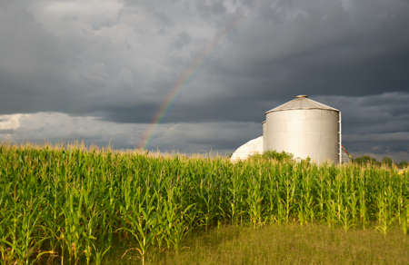 A beautiful rainbow over a cornfield with a silo and grain auger under dark storm clouds.の写真素材