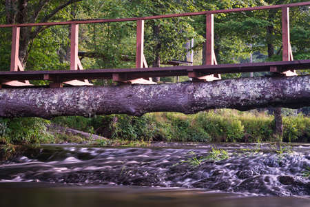 A log footbridge over a peaceful mountain stream.の写真素材