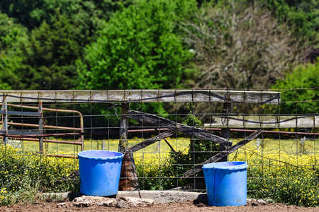 Blue plastic feeding troughs on a small farm with flowers in the pasture beyond and trees in the...
