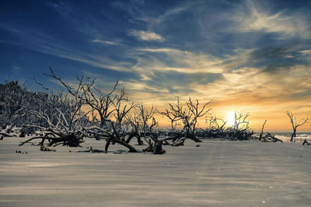 A composite photo of a pristine undeveloped beach on a South Carolina barrier island and a sunrise...