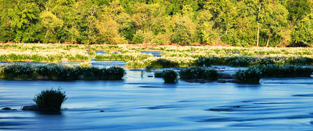 The Catawba river with Rock Shoals Spider lilies in bloom, which are very rare, and the river smoothed out with a long exposure.の写真素材