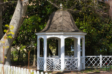 White gazebo in a backyard garden.の写真素材
