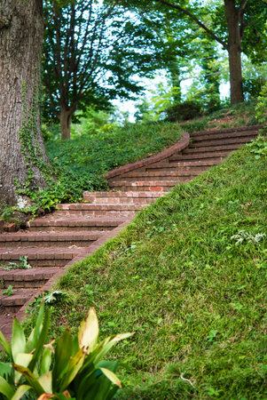 Stone stairs in the park. The steps lead to the garden.