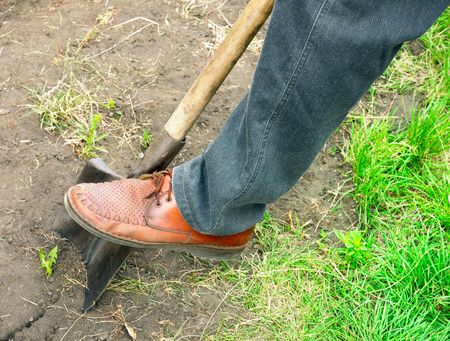 Work In A Garden Or Treasure Searchの写真素材