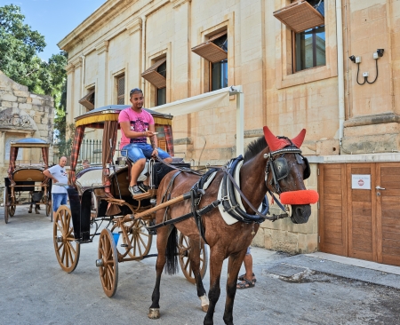 Valetta, Malta - SEPTEMBER 11, 2013  Tourist chariot waiting for tourists in Valetta, Malta  Malta is a southern European country in the Mediterranean Sea 80 km  50 mi  south of Sicily のeditorial素材