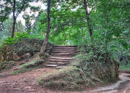 The old stone stairway in park of the city of Kislovodsk. Northern foothills of Greater Caucasusの写真素材