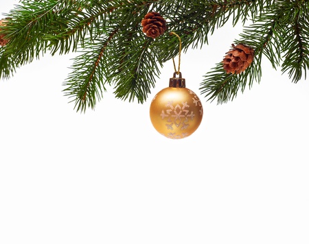 Christmas ball on green spruce branchの写真素材