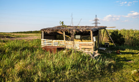 abandoned house in the field