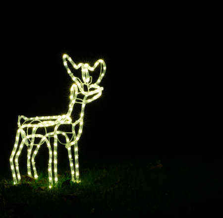 shiny reindeer christmas garden decoration on meadow by nightの写真素材