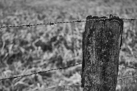 old barbed wire fence in black whiteの写真素材