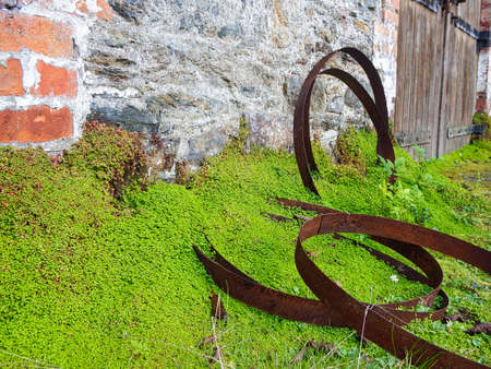 Square in front of barn covered with clover leavesの写真素材