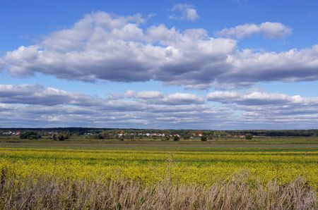 Landscape with field as horizontal stripes, striped cloiuded sky in the backgroundの写真素材