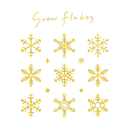 Snowflake vector Icon Illustration Setのイラスト素材