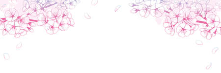 Background illustration material of cherry blossom branches and petals, pink and blue gradation color.のイラスト素材