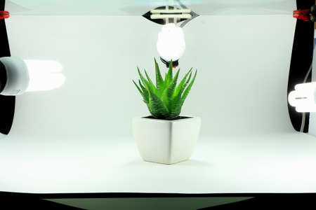 A capture of mini studio for tke a photo of fake plant