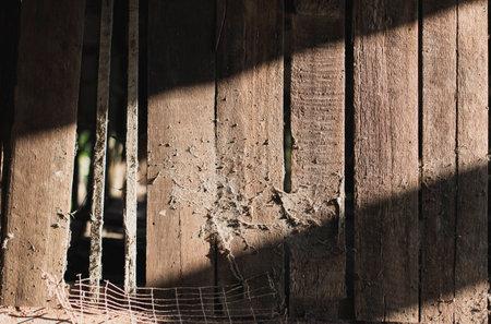 Old wall of the abandon houseの写真素材