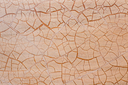 Trace of the lacker crack on the plywood surface
