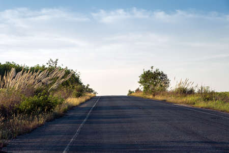 Up hill country road at the eveningの写真素材