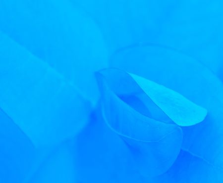 photoshopped detail of eucalyptus leafesの写真素材