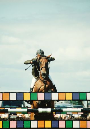 horse jumping obstacle, possible concepts are freedom, challenge, plenty of copy space in skyの写真素材