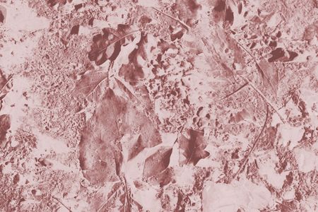 mud and leaves photoshopped into a backgroundの写真素材