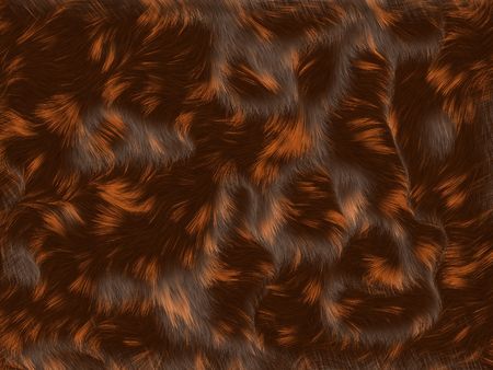 brown and red fur background の写真素材