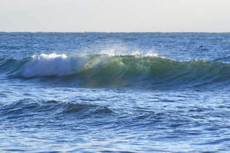 sea wave in sunlight