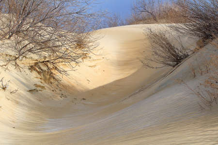 sand dune in winter against the blue skyの写真素材