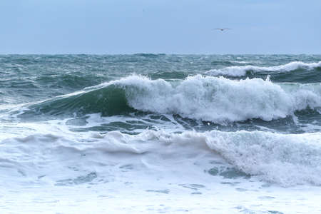 seascape wave crest with white foam on the horizon backgroundの写真素材