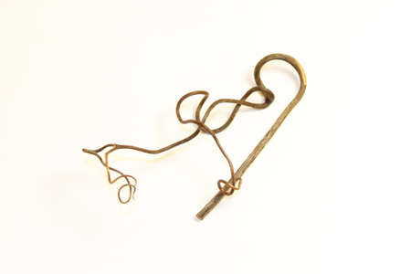 grape tendril stiffened close-up on a white background isolatedの写真素材