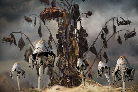 Against the background of dark sky flowers wither and grow fairy mushrooms.