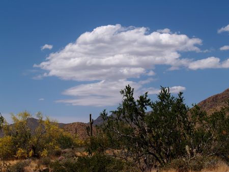 Arizona Landscapeの写真素材