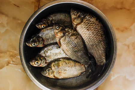 Six fresh raw fish in an iron container . View from aboveの写真素材