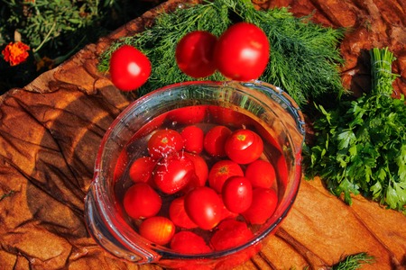 fresh tomatoes falling in pure waterの写真素材