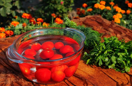 fresh tomatoes falling in pure waterの写真素材