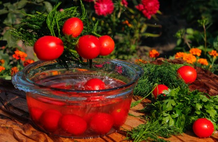 fresh tomatoes falling in pure waterの写真素材