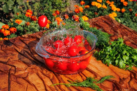 fresh tomatoes falling in pure water, side viewの写真素材
