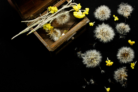 Abstraction of dandelions and small yellow flowers close-up on a black background. View from aboveの写真素材