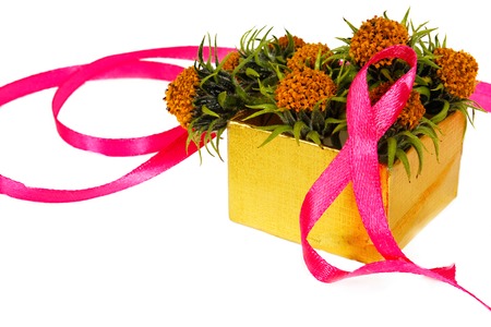 women's Day. greeting card from pink ribbon with the eighth of March and different beads and yellow flowers on a white background. Insulation. Side view. Celebrationの写真素材