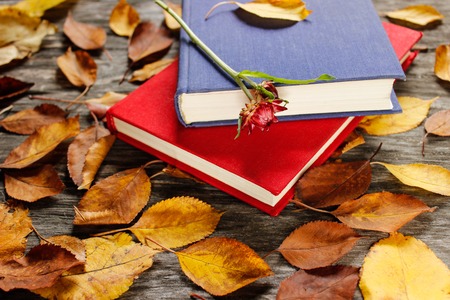 Old books with vintage clock among autumn leaves and bright natural sunlight - autumn still life, focus at the clock and bookの写真素材