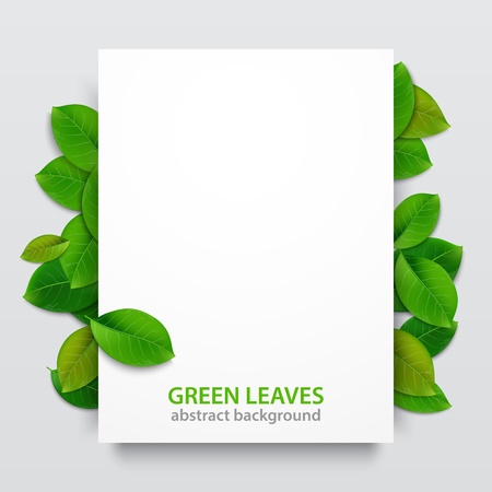 Nature background with green fresh leaves . Vector illustration.のイラスト素材